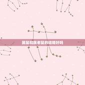 属鼠和属老鼠的结婚好吗，属鼠没有属牛好吧