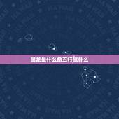 属龙是什么命五行属什么，1988年属龙的是什么命