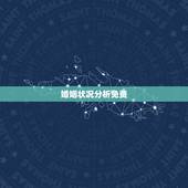 婚姻状况分析免费，求婚姻状况