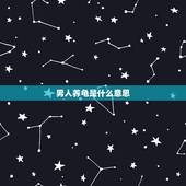 男人养龟是什么意思，养龟什么意思