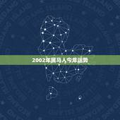2002年属马人今年运势，2002年属马人2022 高考运