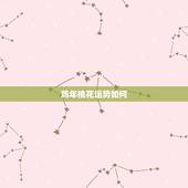 鸡年桃花运势如何，12生肖2016年桃花运势谁最好