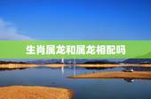 生肖属龙和属龙相配吗，属龙和属龙的人在一起好不好
