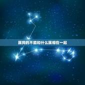 属狗的不能和什么属相在一起，属狗的不适宜和什么属相的结婚