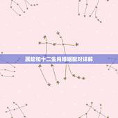 属蛇和十二生肖婚姻配对详解，属蛇女生和什么属相男配好