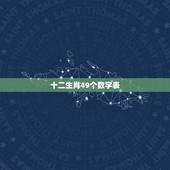 十二生肖49个数字表，摆件十二生肖