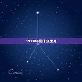 1990年属什么生肖，1990年属马的更佳配偶