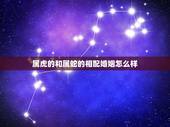 属虎的和属蛇的相配婚姻怎么样，属虎女和属蛇男好不好