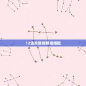 12生肖属相精准婚配，在12生肖里龙的配偶属相应该属什么