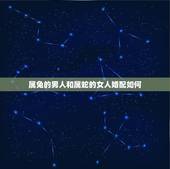属兔的男人和属蛇的女人婚配如何，男兔女蛇叫蛇盘兔吗