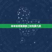 林辛言宗景灏第二次在第几章，林辛言宗景灏（夺爱帝少请放手）全文免费阅读