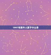 1997年属牛人属于什么命，请问1997年属牛人 是什么命？比如 金牛