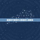 属猪的不能和什么属相的人做朋友，属猪与人交往最忌讳什么