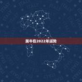 属牛在2022年运势，2021年属牛的运势和财运