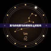 属马的和属马的婚姻怎么样配吗，属马的和属马的不能结婚