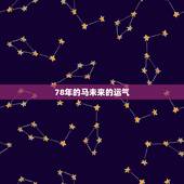 78年的马未来的运气，属马1978年44岁走大运