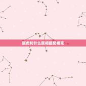 属虎和什么属相最配相克，属虎和什么属相最配