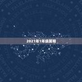 2021年1年级属相，2005年出生的人2021年几岁了？