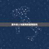 属牛的人与属狗的能婚配吗，属狗和属牛相配吗？