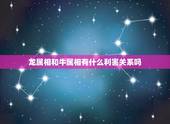 龙属相和牛属相有什么利害关系吗，属龙和属牛合不合