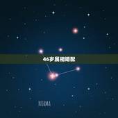 46岁属相婚配，46岁和53结合婚配如何？