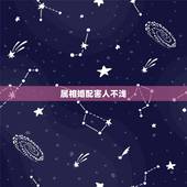 属相婚配害人不浅，属相不合的明星夫妻有哪些