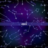 2022 年出生羊今年几岁，2022 年属羊的今年多少岁