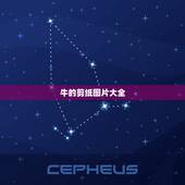 牛的剪纸图片大全，牛年剪纸窗花教程