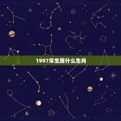 1997年生属什么生肖，1997年出生的人，属相是什么？