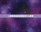 二婚摩羯座最佳婚配是什么属相，摩羯座与什么星座最配，摩羯座婚配表