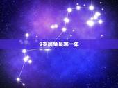 9岁属兔是哪一年，属兔的今年多大周岁