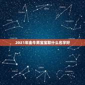 2021年金牛男宝宝取什么名字好，2021年出生的男宝宝怎么取名字？