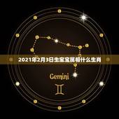 2021年2月3日生宝宝属相什么生肖，2021年2月4号属什么生肖