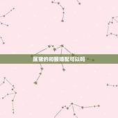 属猪的和猴婚配可以吗，女属猴的和男属猪的相配吗