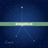 属马的运势怎么样，2021年属马运势怎么样？