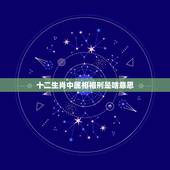 十二生肖中属相相刑是啥意思，属相犯冲，什么意思