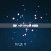 属狗25岁和什么属相最佳，属马的和什么属相最配