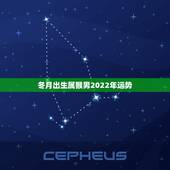冬月出生属猴男2022年运势，2004年出生属猴，2022年运程