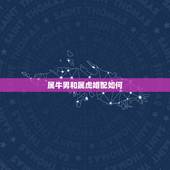 属牛男和属虎婚配如何，男属虎女属牛一天生的婚配如何
