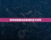 属鸡和属猴生蛇属相的孩子好吗，属鸡和属猴的生个什么属相的宝宝