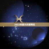 2022年最火抖音网名，2023年抖音最火的网名