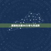 属猪处女座2022年七月运势，处女座，属猪，女，今年运势如何？