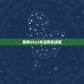 属狗2022年运势及运程，属狗人2022年全年运势如何？