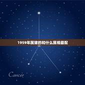 1959年属猪的和什么属相最配，属猪和什么属相最配？和什么属相不配？