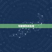 与猪相合的生肖，猪和什么属相最配
