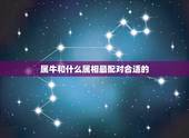 属牛和什么属相最配对合适的，属鸡2022 年运势及运程