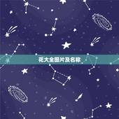 花大全图片及名称，家庭花卉图片及名称100种(一)