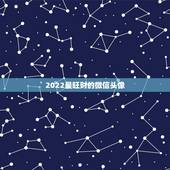 2022最旺财的微信头像，2023最旺财的微信头像