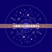 12属相2022年出生属什么，十二生肖年份表2021