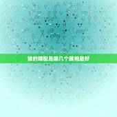 猪的婚配是哪几个属相最好，属猪的和什么属相最配